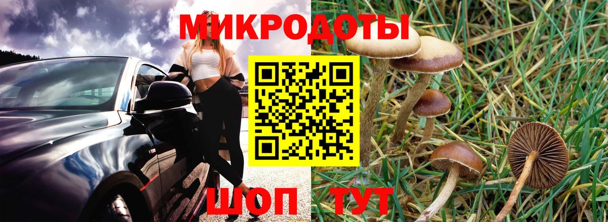 Галлюциногенные грибы MAGIC MUSHROOMS  Вход с VPN  Псилоцибиновые грибы MAGIC MUSHROOMS  Клинцы 