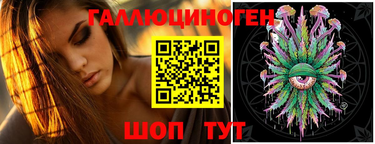 Псилоцибиновые грибы Psilocybine cubensis Клинцы
